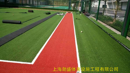 人造草 籃球場(chǎng) 足球場(chǎng) 幼兒園彩色地面 足球場(chǎng)草