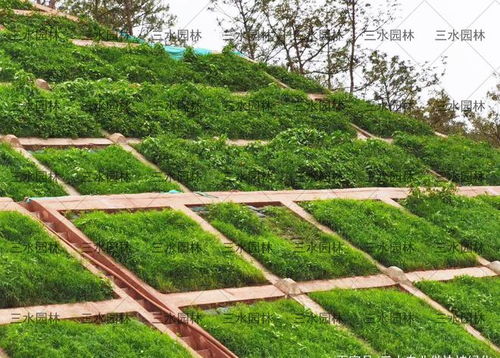 內江市高速公路邊坡施工找專業(yè)的工程隊