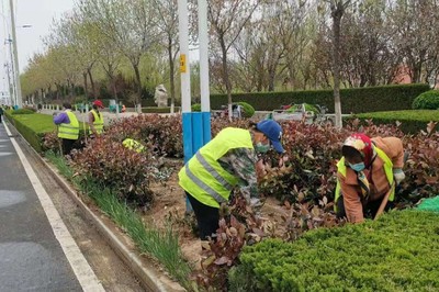 4月份園林綠化養護要點及病蟲害防治措施