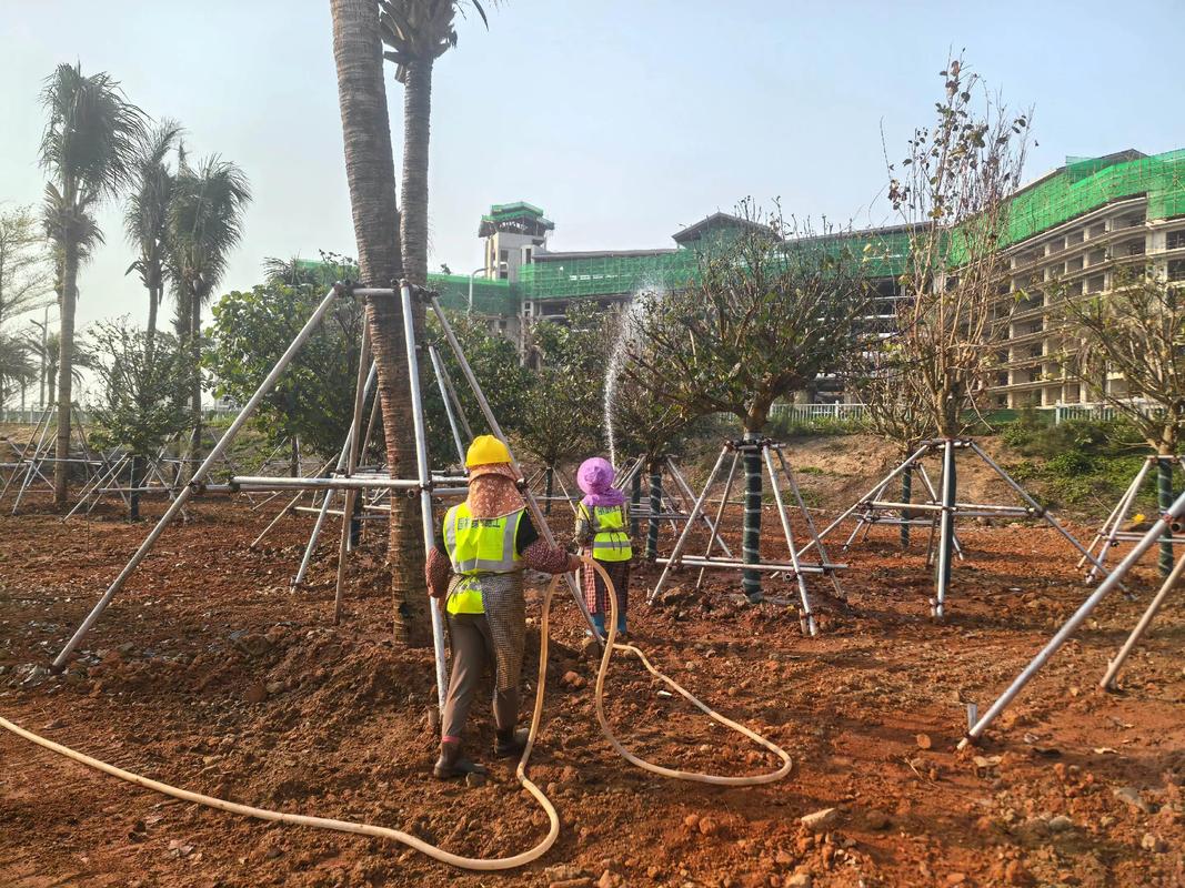 努力不一定有結(jié)果,但不努力一定沒(méi)有結(jié)果.專業(yè)園林景觀綠化施工